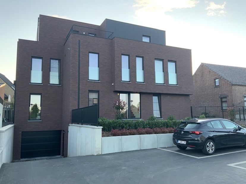 Appartement à louer
                    à 3680 Opoeteren